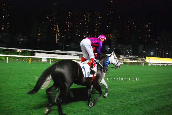Jockey Riding To The Starting Point @ Happy Valley Racecourse, Hong Kong